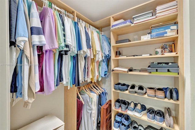 view of spacious closet