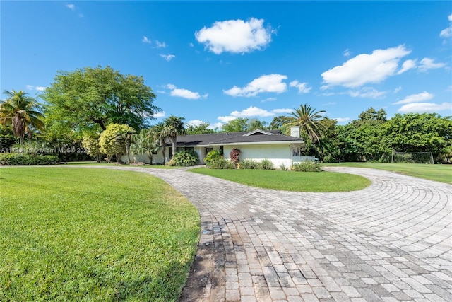 view of home's community with a lawn and curved driveway