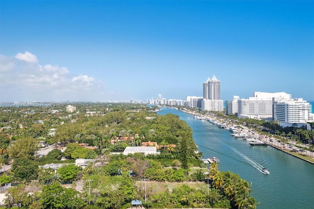 bird's eye view featuring a water view and a city view