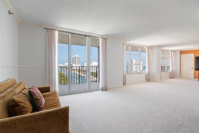 carpeted living area featuring ornamental molding and a textured ceiling