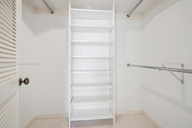 view of walk in closet