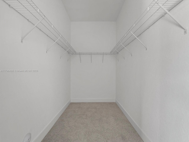 walk in closet featuring light carpet
