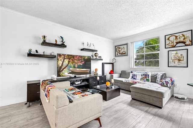 living area featuring crown molding, a textured ceiling, and wood finished floors