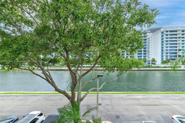 view of water feature