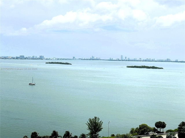 water view with a view of city