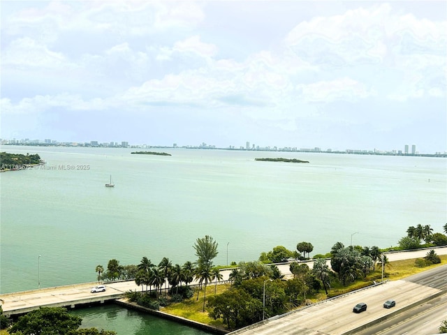 view of water feature with a view of city