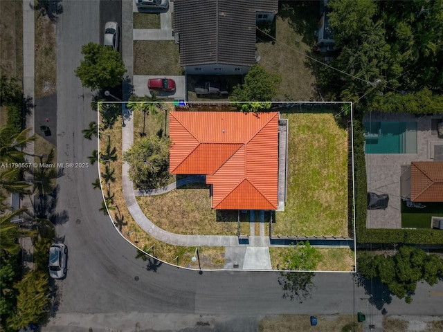 bird's eye view