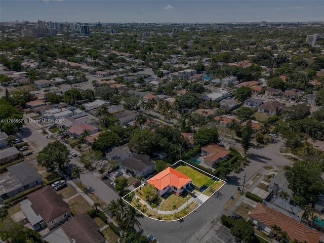 bird's eye view
