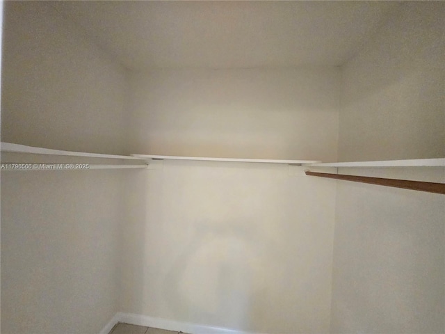 view of walk in closet