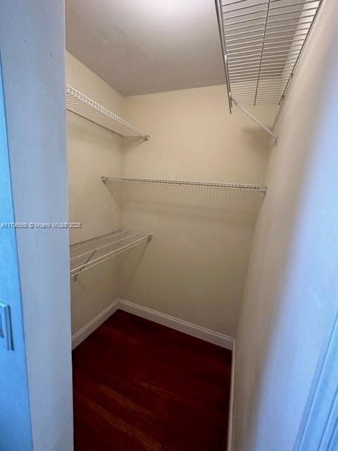 walk in closet with dark wood-style flooring