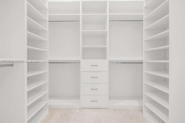 view of spacious closet