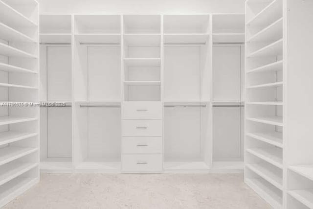 view of spacious closet