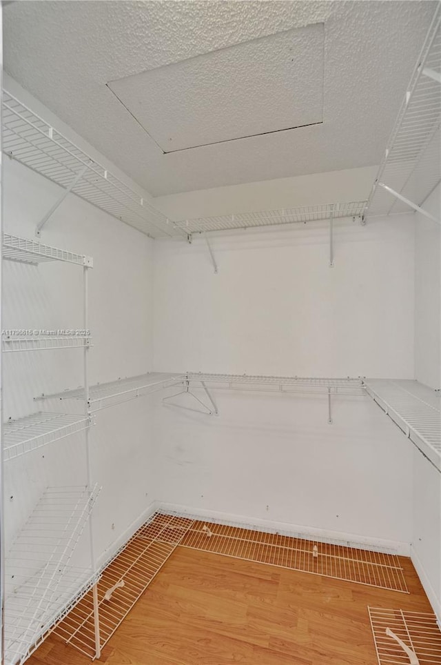 walk in closet with light wood-style flooring