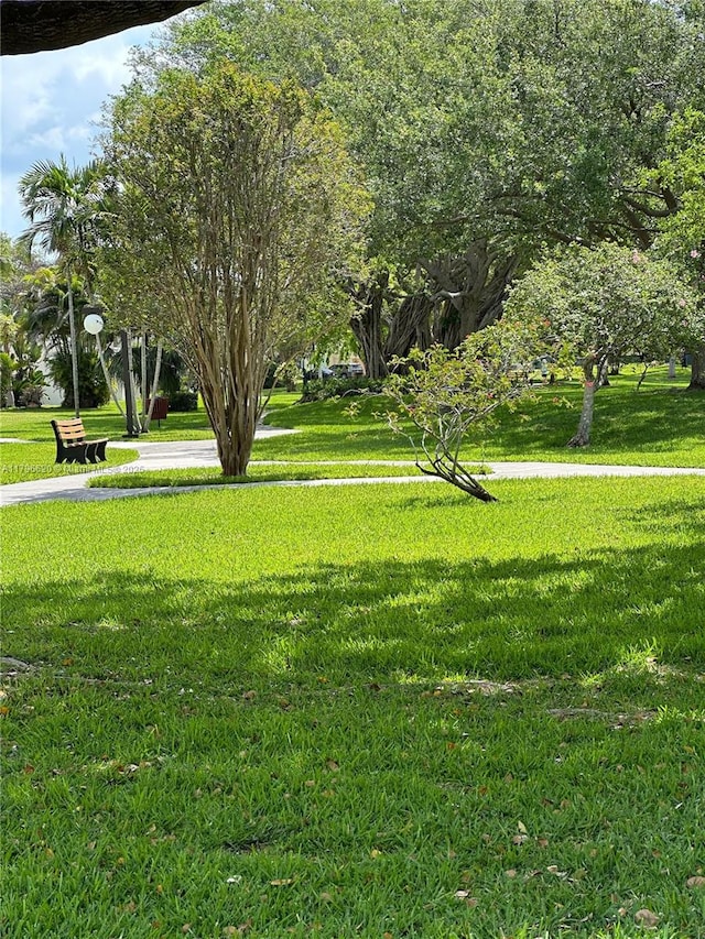 surrounding community with a yard
