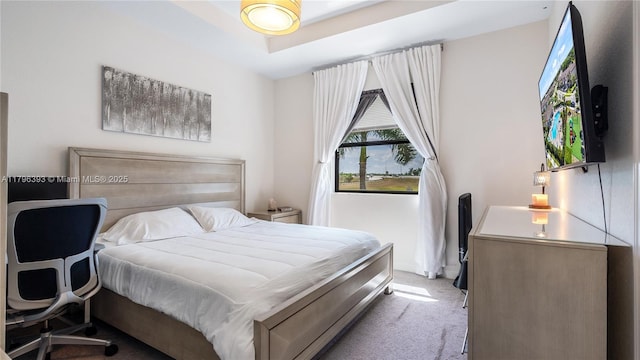 bedroom with carpet flooring