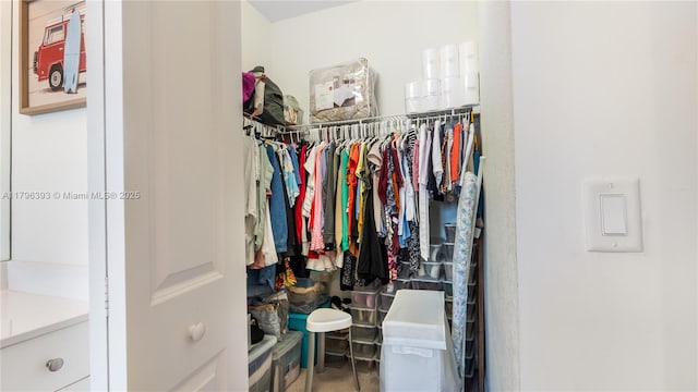 view of spacious closet