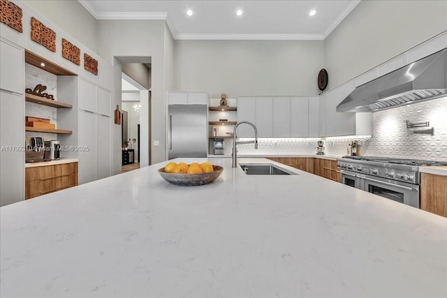 kitchen with a sink, open shelves, premium appliances, modern cabinets, and exhaust hood