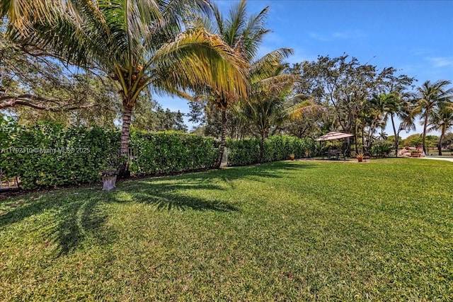 view of yard
