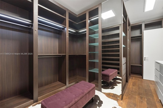 spacious closet featuring wood-type flooring
