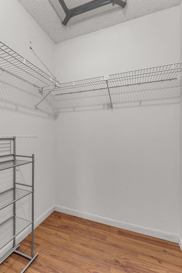 walk in closet featuring light wood-style flooring