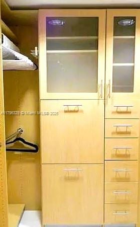 view of closet