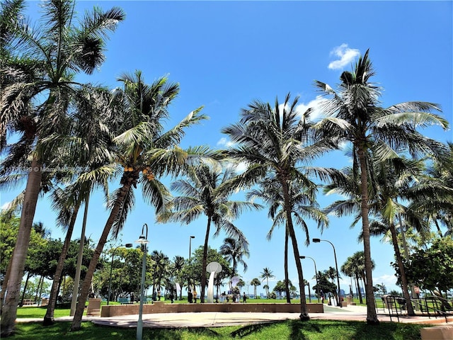 view of property's community