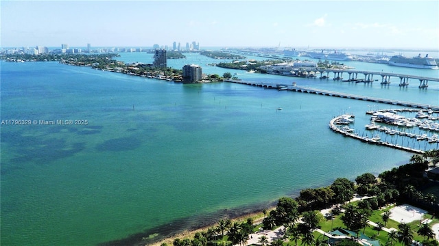 birds eye view of property with a city view and a water view