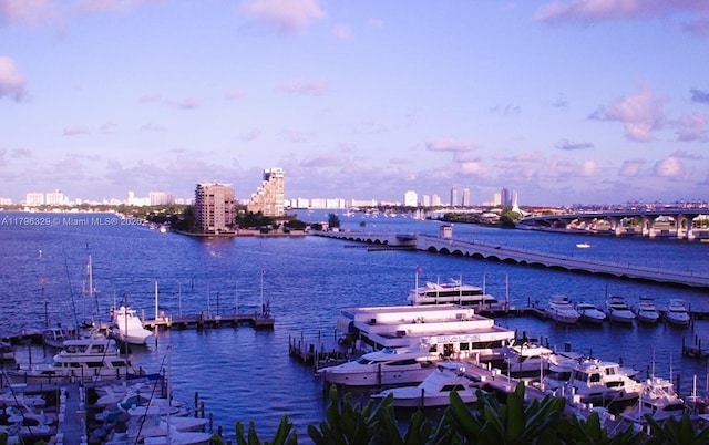 view of water feature with a city view and a dock