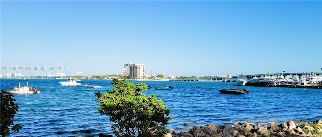 water view