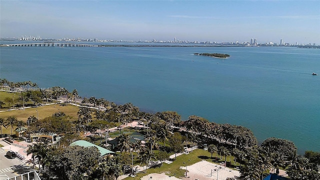 aerial view with a water view