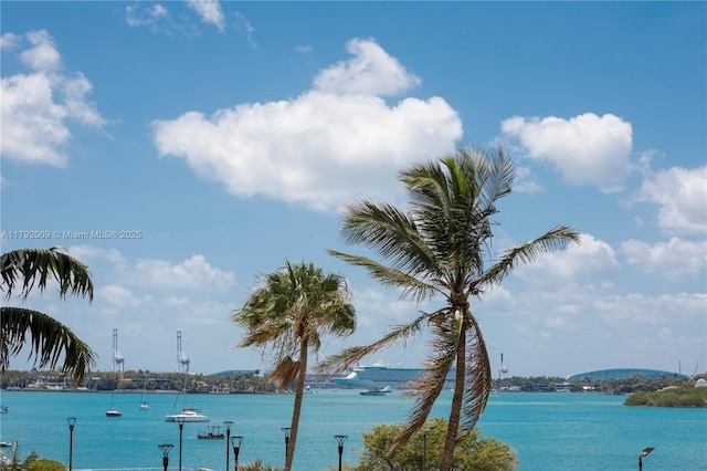 water view