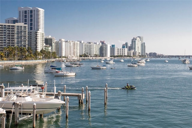 water view featuring a dock and a view of skyline