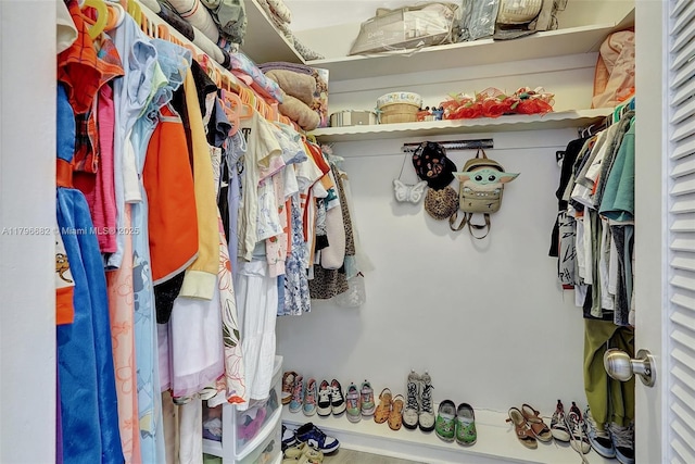 1301 NE 191st St Unit F417, Miami, FL 33179 - view of spacious closet