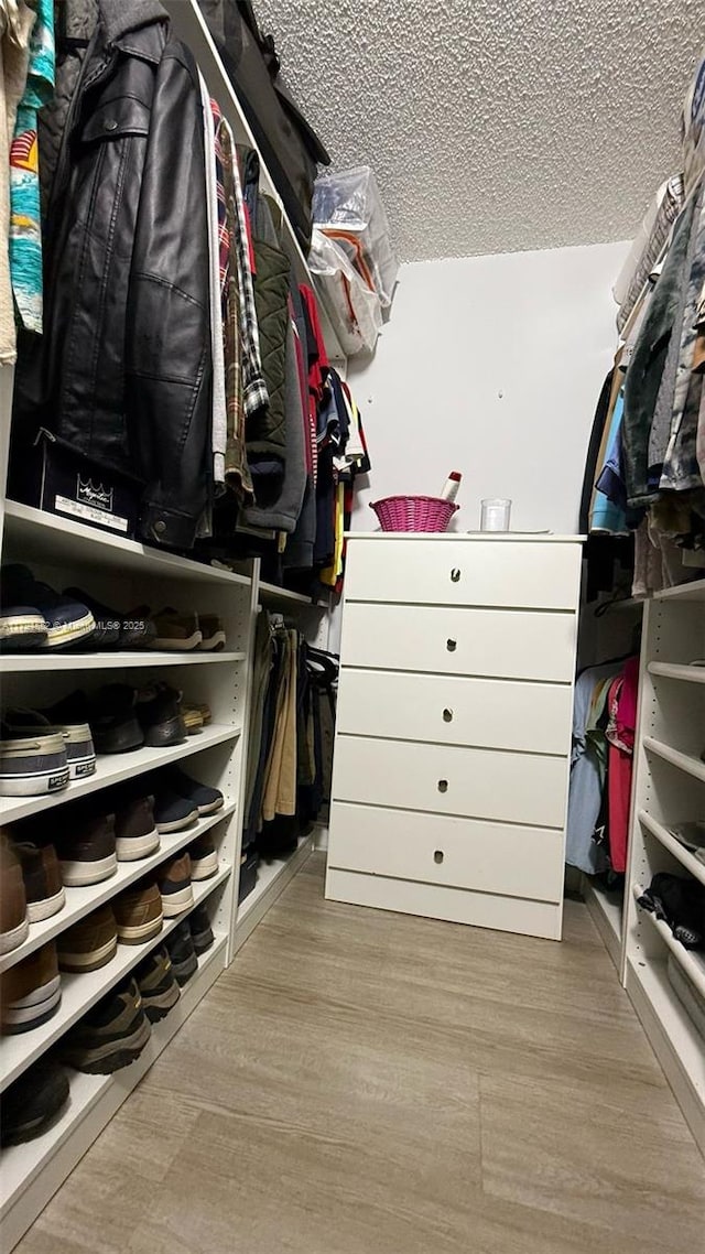 spacious closet featuring wood finished floors