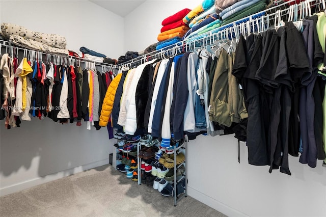 spacious closet featuring carpet flooring