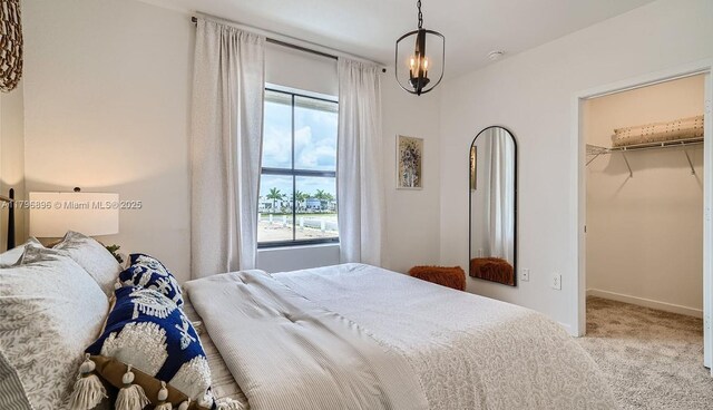 bedroom with a spacious closet, carpet floors, baseboards, and a closet
