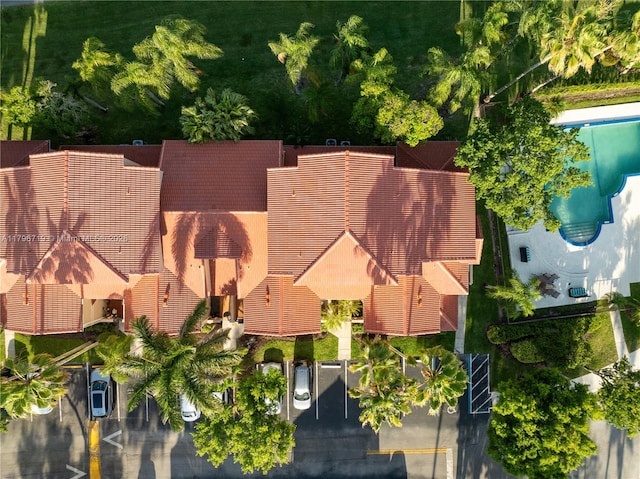 drone / aerial view