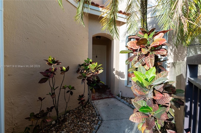 entrance to property with stucco siding