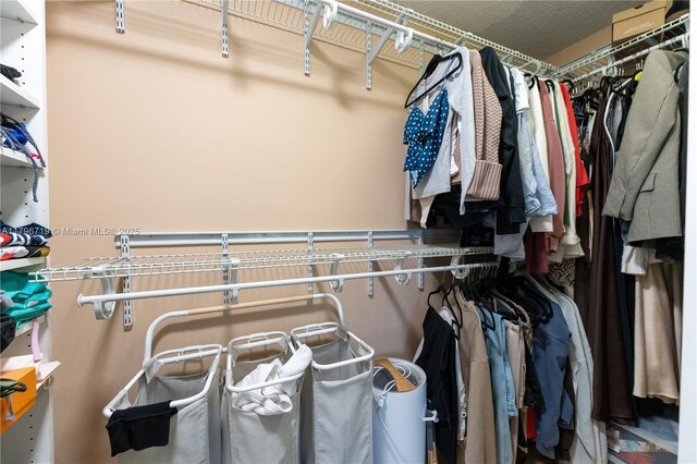 view of spacious closet