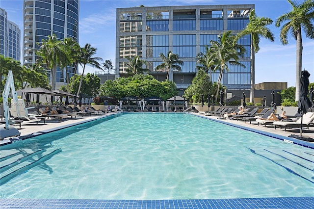 3400 SW 27th Ave Unit 1506, Miami, FL 33133 - view of pool
