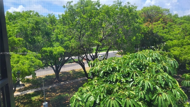 3401 N Country Club Dr Unit 410, Aventura, FL 33180 - view of community