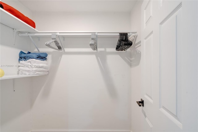 view of spacious closet