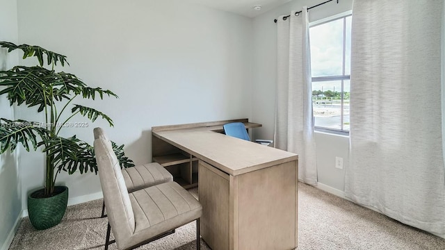 office space with light colored carpet and baseboards