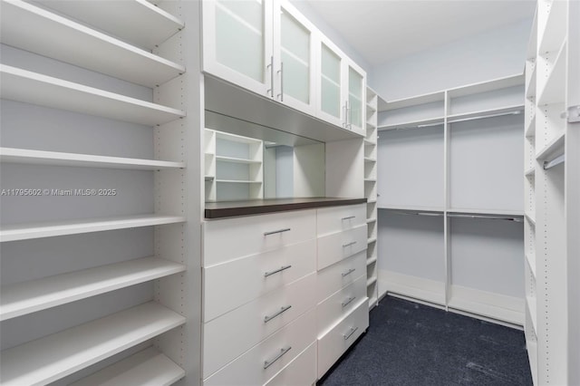 3040 NW 126th Ave, Sunrise, FL 33323 - view of walk in closet