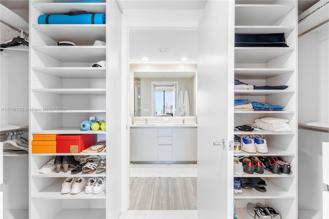 spacious closet featuring wood finished floors and a sink
