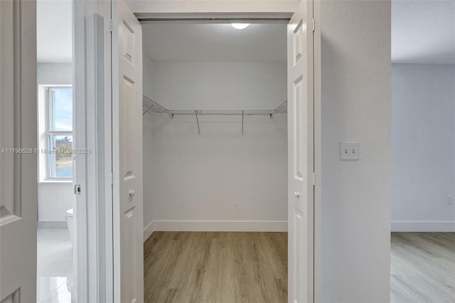 walk in closet featuring wood finished floors