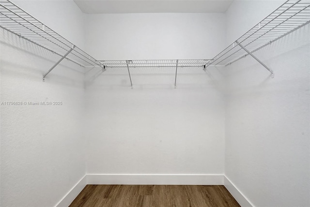 walk in closet with wood finished floors