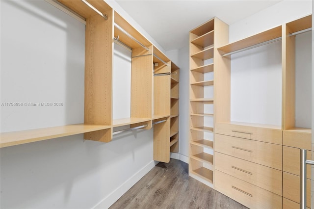 spacious closet featuring wood finished floors