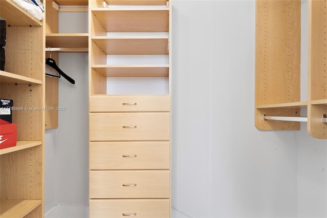 view of walk in closet