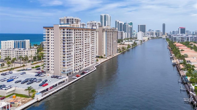 bird's eye view of a large body of water and a skyline view